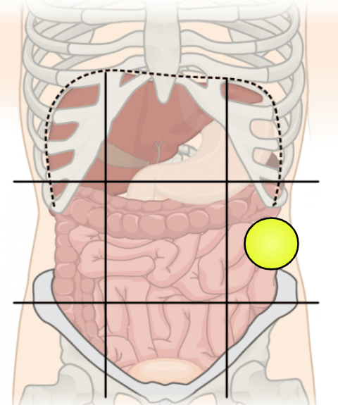 knowt flashcard image
