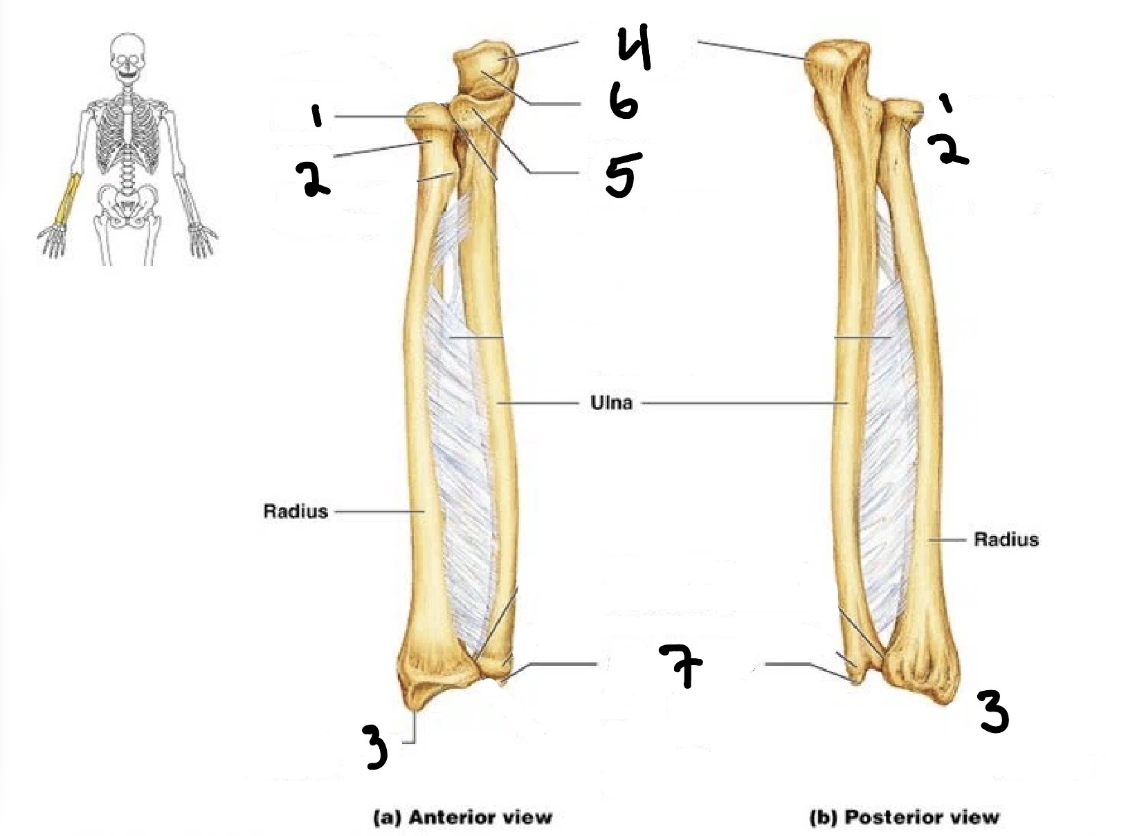 <p>2</p>