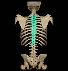 <p>Identify the structure</p>