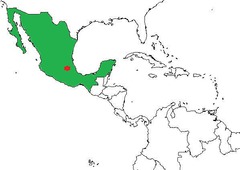 <p>Capitol: Mexico City</p>