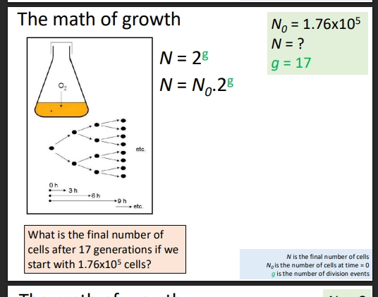 <p>(equation)</p><ul><li><p>use the number of cells at time 0 (N0), the number of cell divison events / generations (g) and some logs </p></li><li><p>use the simple initial equation, (N = N0 × 2^g)</p></li><li><p>** can use super large numbers too (1× 10^7 eg)</p></li></ul><p></p>