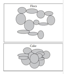 <p>process where particles in a suspension come together to form loose aggregates, called flocs, without fully settling. </p><p>helps improve the stability of suspensions by preventing the particles from forming dense sediment that would be harder to redisperse.</p>