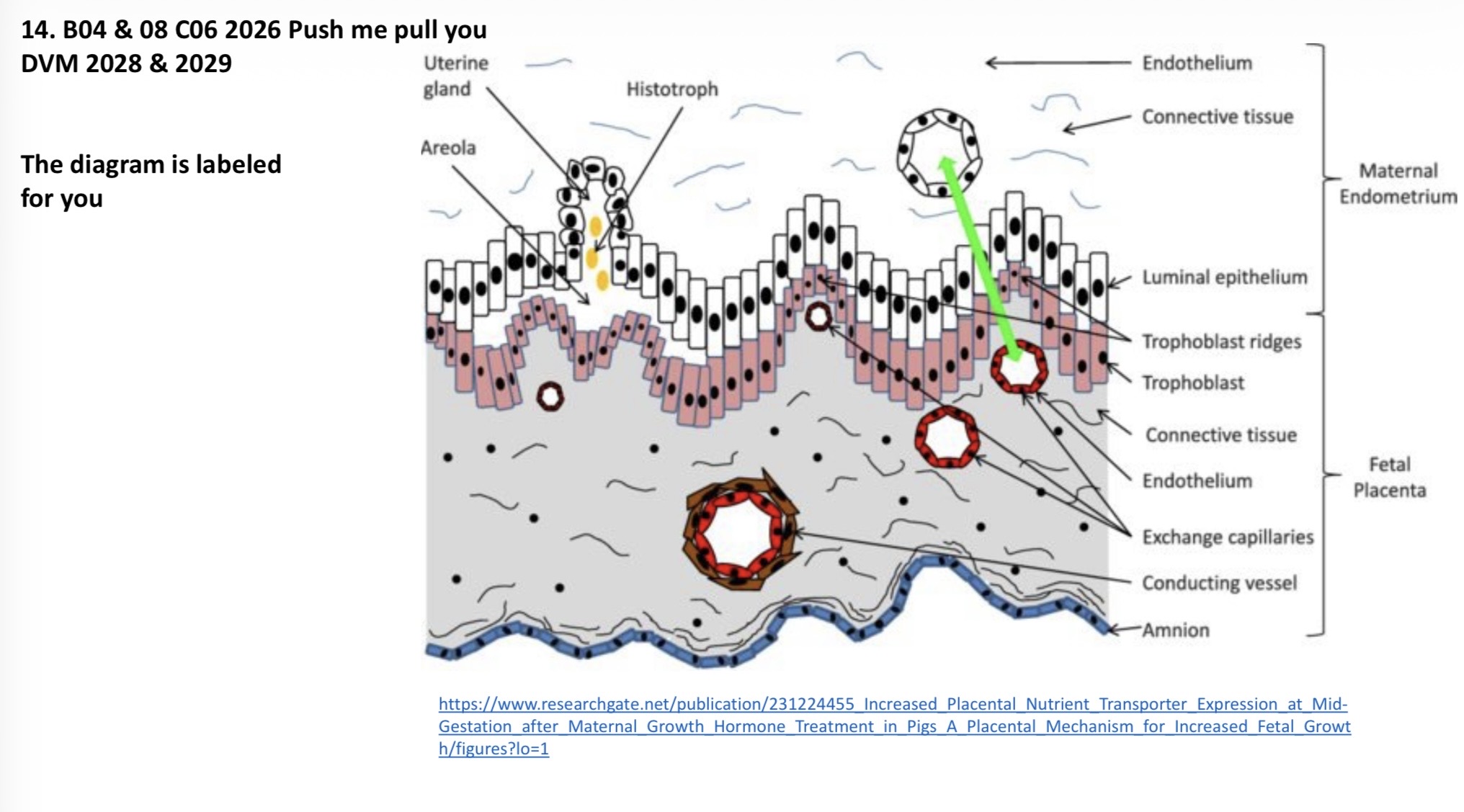 <p>Image is labeled.</p>