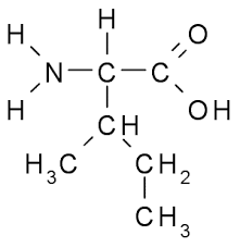 <p>What is this amino acid and its codon?</p>