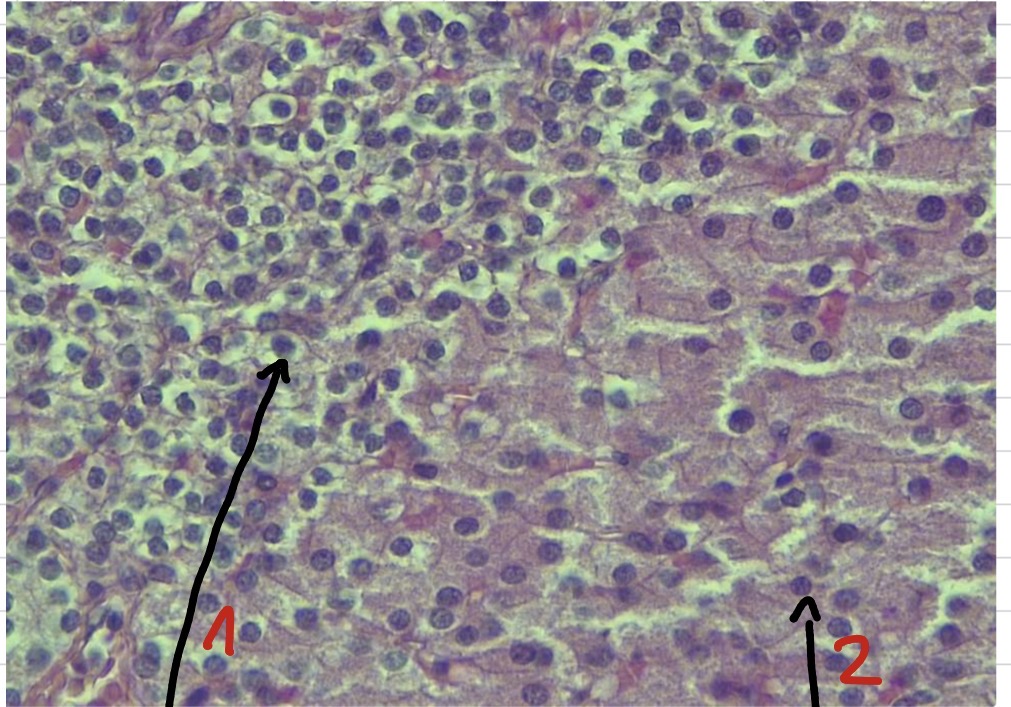 <p>1</p>