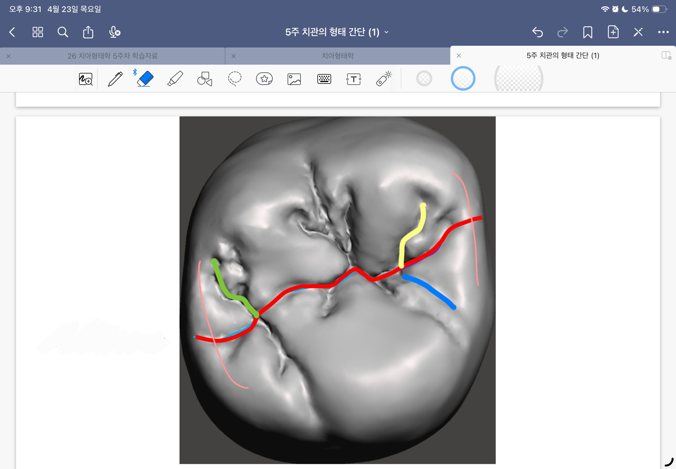 <p>연두색 선(영문)</p>