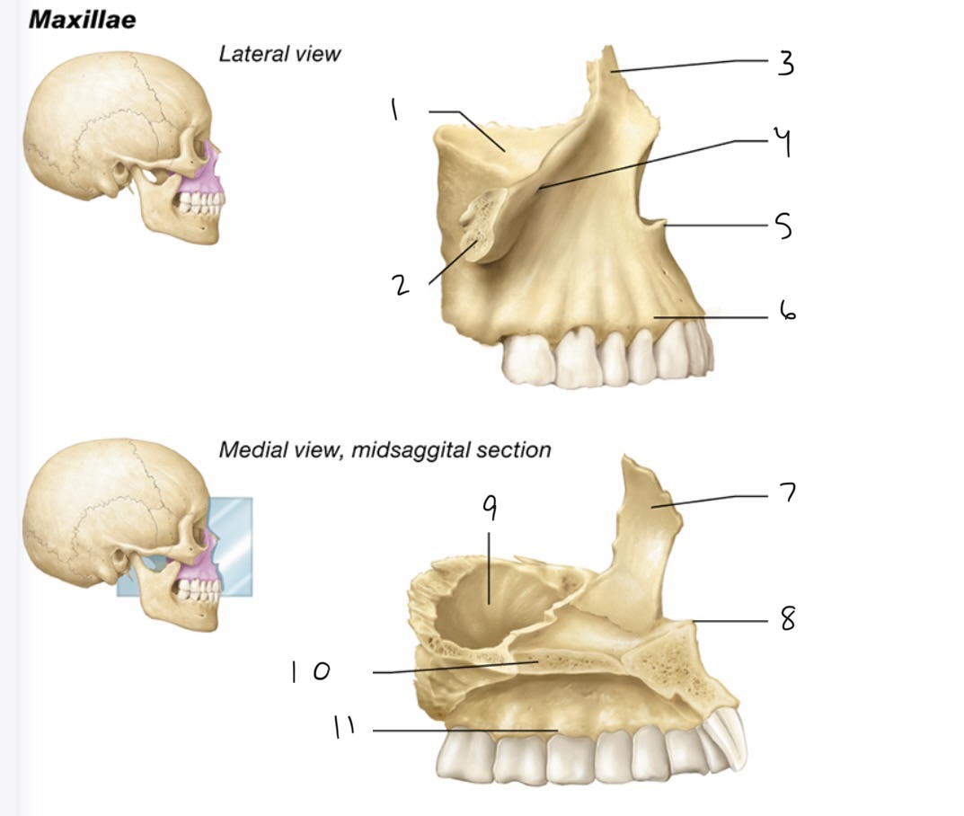 <p>6</p>