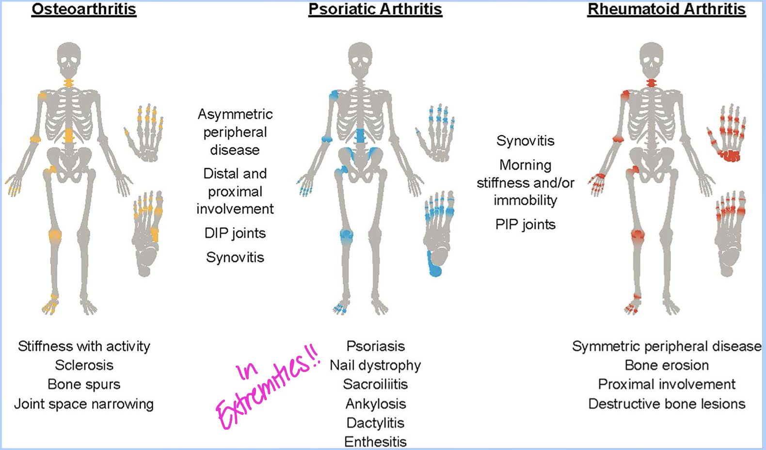 <p>Differentials of OA, PsA and RH</p>
