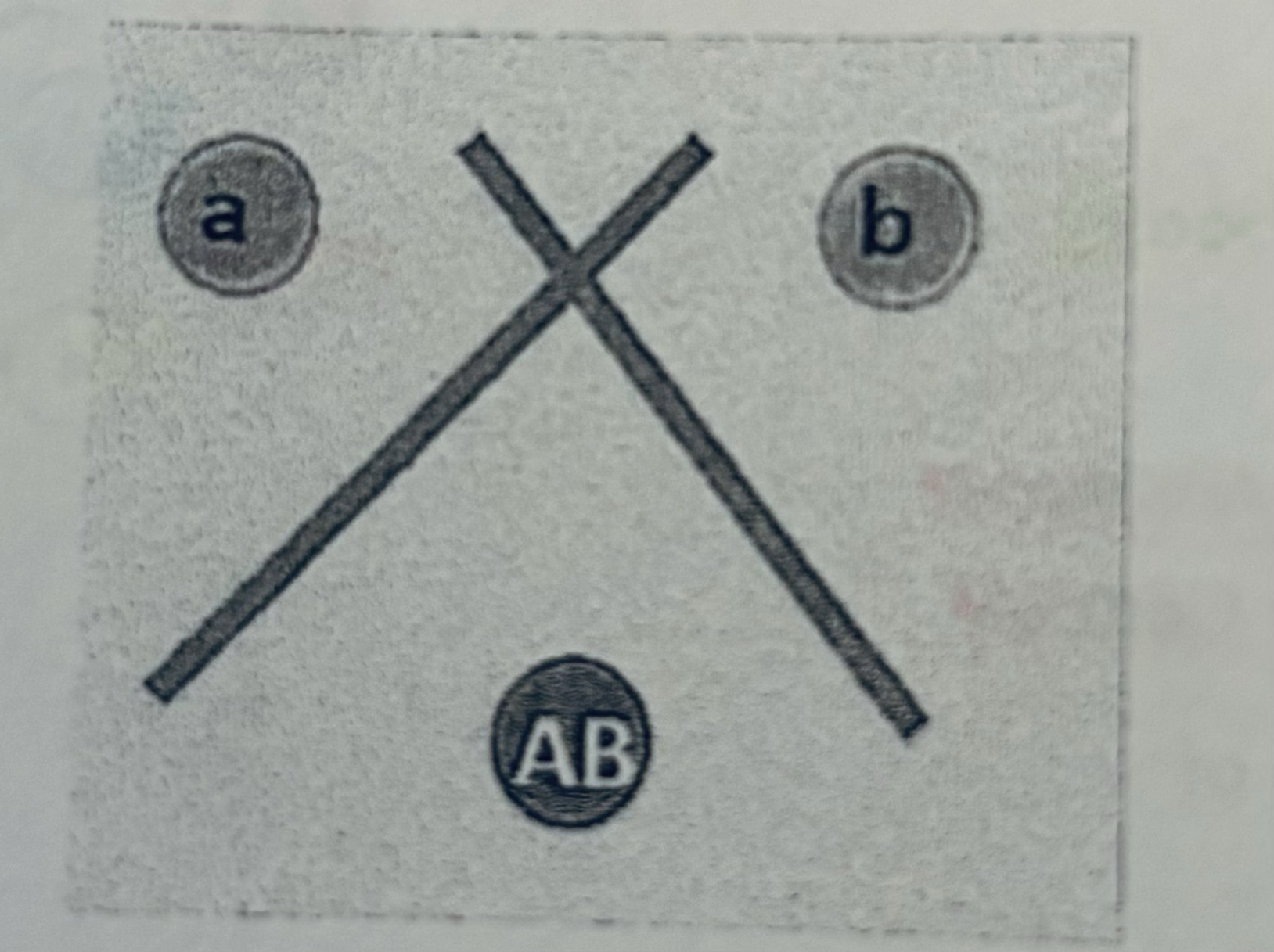 <p>Two precipitate lines which cross to form an “X”</p>