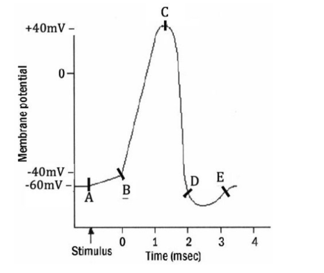 <p><span>Based on the graph, the threshold voltage appears to be approximately</span></p>