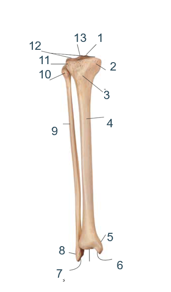 <p>9?</p>