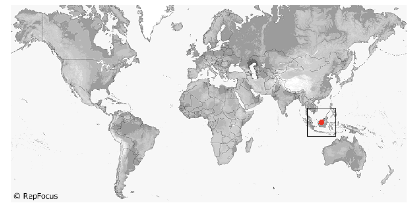 <p><span style="background-color: transparent;">Lanthanotidae </span></p>