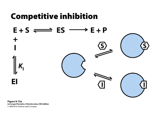 <p>Competitive inhibition Kinetics</p>