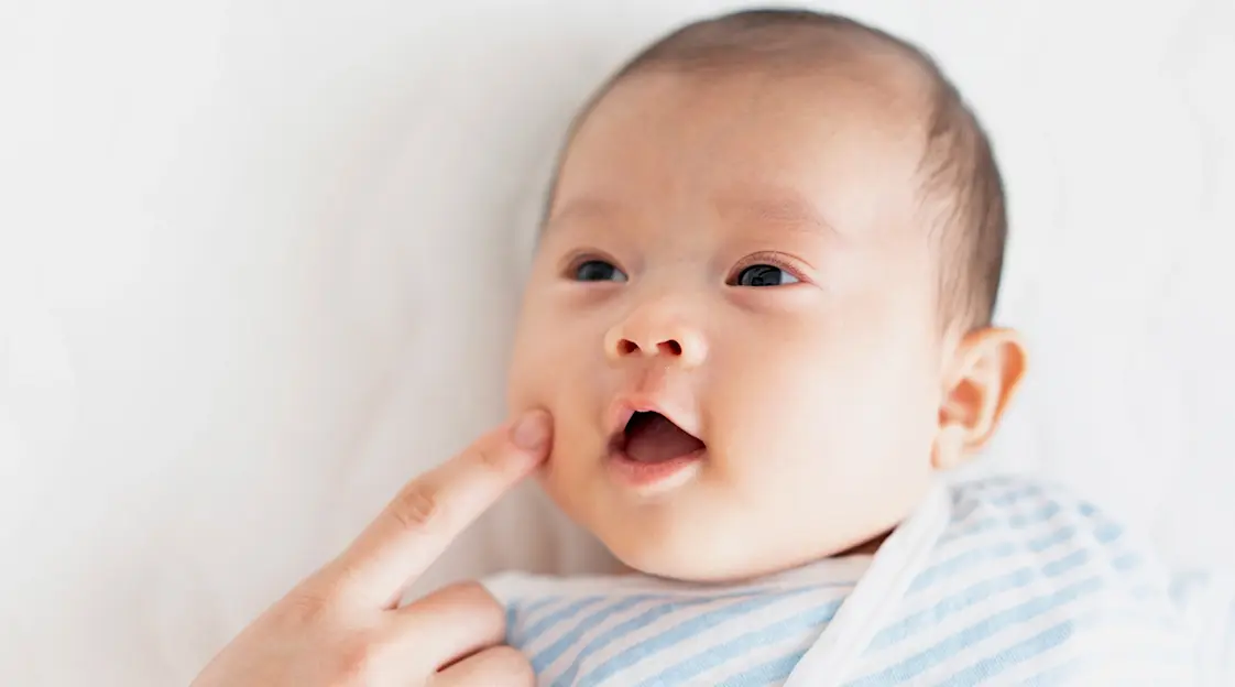 <ul><li><p>an automatic response in newborns where they turn their head and open their mouth in search of food when their cheek is stroked</p></li><li><p>disappears around 3 weeks of age</p></li></ul><p></p>