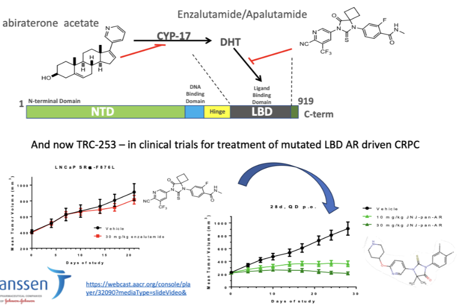 <ul><li><p>Prostate cancer driven by AR → therapies block DHT (abiraterone) or AR (enzalutamide/apalutamide)</p></li><li><p>Resistance develops via AR LBD mutations (e.g. F876L)</p></li><li><p>Mutations can make antagonists act as agonists</p></li><li><p>New drugs (e.g. TRC-253) target mutated AR to overcome resistance</p></li></ul><p></p>