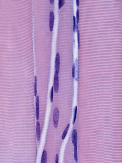 <p>what is this? </p>