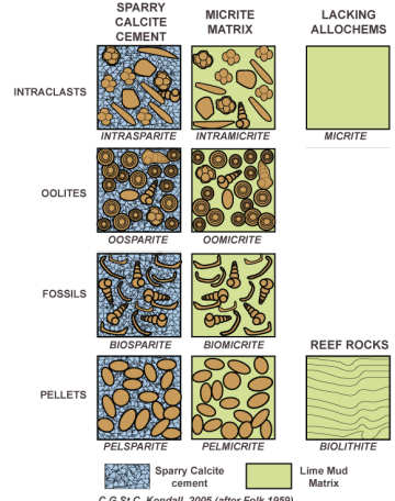 <p>[Intrasparite, Intramicrite, Oosparite, Oomicrite, Biosparite, Biomicrite, Pelsparite, and Pelmicrite]</p>