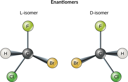 <p>Mirror image isomers, bonded to four <strong>different</strong> atoms/groups. Typically have different functions.</p>