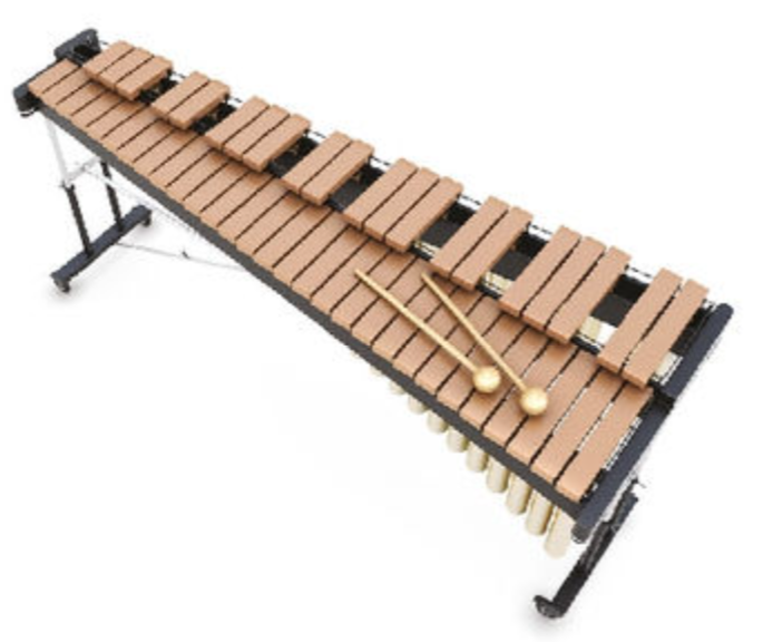 <p>Xylophone</p>