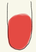 <p>Urease</p>