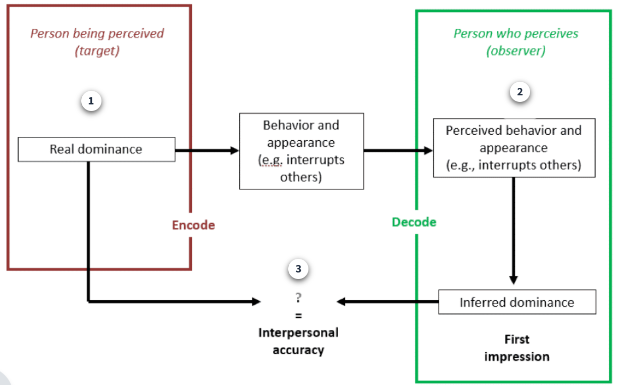 <p>Comment s’appelle le processus de la perception sociale? </p>