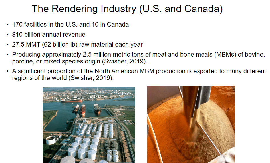 <p><strong>Industry Size</strong><br>  • <strong>170 facilities</strong> in the <strong>U.S.</strong><br>  • <strong>10 facilities</strong> in <strong>Canada</strong><br>  • <strong>$10 billion</strong> annual revenue</p><p><strong>Raw Material</strong><br>  • <strong>27.5 MMT</strong> (<strong>62 billion lb</strong>) of raw material processed each year</p><p><strong>Meat and Bone Meal (MBM)</strong><br>  • Approximately <strong>2.5 million metric tons</strong> of <strong>meat and bone meals (MBMs)</strong> produced<br>  • MBMs can be of <strong>bovine, porcine, or mixed species</strong> origin<br>  • <strong>Bovine</strong> → cattle<br>  • <strong>Porcine</strong> → pigs</p><p><strong>Exports</strong><br>  • A significant proportion of North American <strong>MBM production</strong> is <strong>exported</strong><br>  • Exported to many different <strong>regions of the world</strong></p>