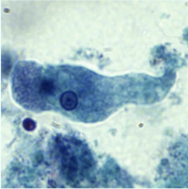 <p>What is this?</p>