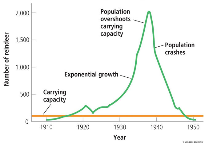 <ul><li><p>When a population overshoots the carrying capacity, the population sharply declines</p></li><li><p>Now a population must either: stabilize its population, switch to new resources, or move to a new geographic area</p></li></ul><p></p>