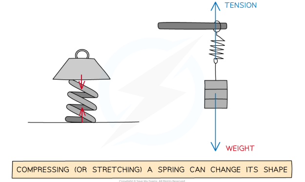 <ul><li><p>Weight of the mass</p></li><li><p>Reaction force from surface of the spring</p></li><li><p>Act towards each other</p></li></ul><ul><li><p>WORK IS DONE</p></li></ul><p></p>