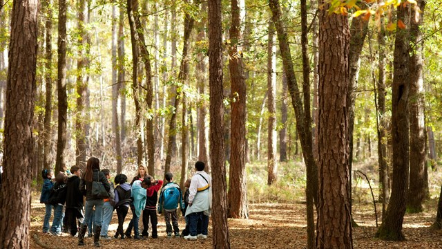 <p>cultural ecology</p>