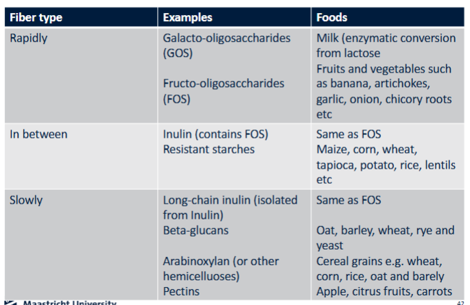 <ul><li><p>Fibers are the <strong>preferred energy source</strong> for gut microbes</p></li><li><p>Promote growth of beneficial bacteria</p></li><li><p>Increase production of SCFAs</p></li><li><p>Improve metabolic health (body weight, cholesterol, blood pressure, glucose regulation)</p></li><li><p>Higher fiber intake is consistently associated with better health outcomes</p></li></ul><p></p>