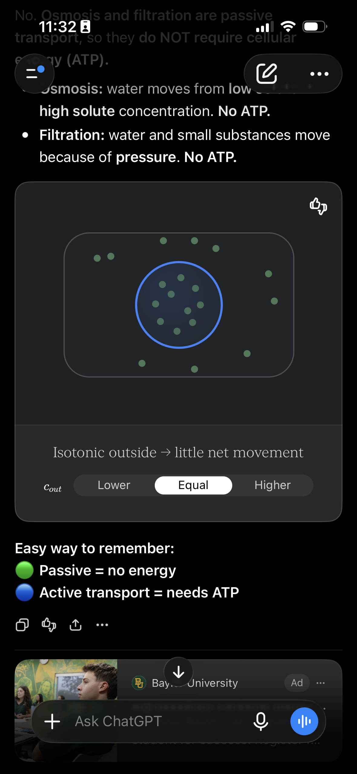 <p><span>Isotonic outside → little net movement</span></p>