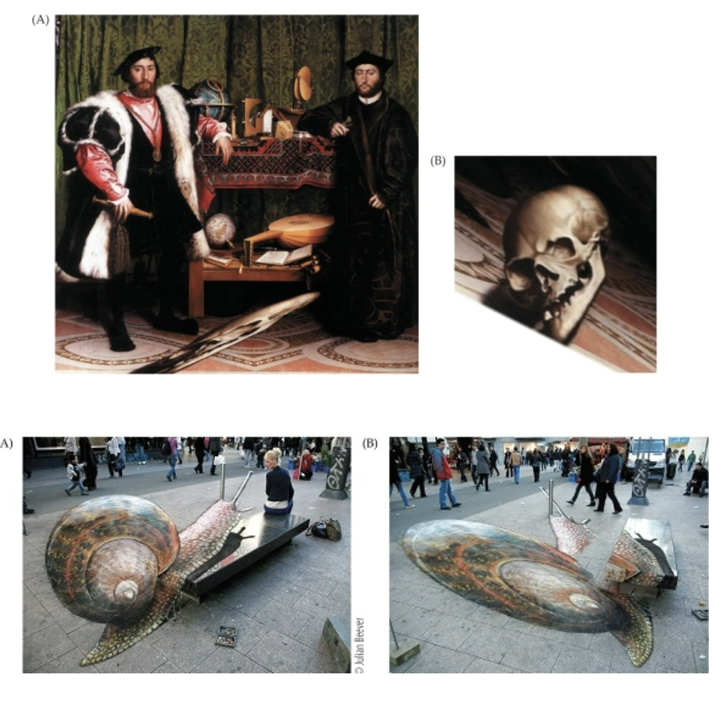 <p><u>Extreme Applications of Static Monocular Cues</u></p><p>• T/F: 2D projections can distort images in ways the brain cannot automatically correct.</p><p>• Surface orientation does not compensate for these distortions. <span style="color: rgb(250, 224, 148);">(Basically?)</span></p><p>• Anamorphic art manipulates perspective, creating images that only appear correct from ? or with <u>curved/flat</u> mirrors.</p><p>• Pushes __ to extremes, as seen in Holbein’s painting &amp; pavement art.</p>