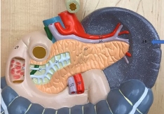 <p>name the parts</p>
