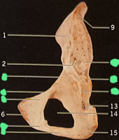 <p>6</p>
