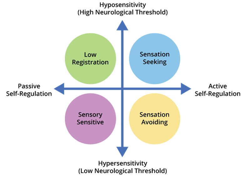 <p>It crosses a <strong>neurological threshold</strong> continuum with a s<strong>elf-regulation </strong>continuum, producing four patterns that vary by sensory system and by context and are relatively stable over time.</p>
