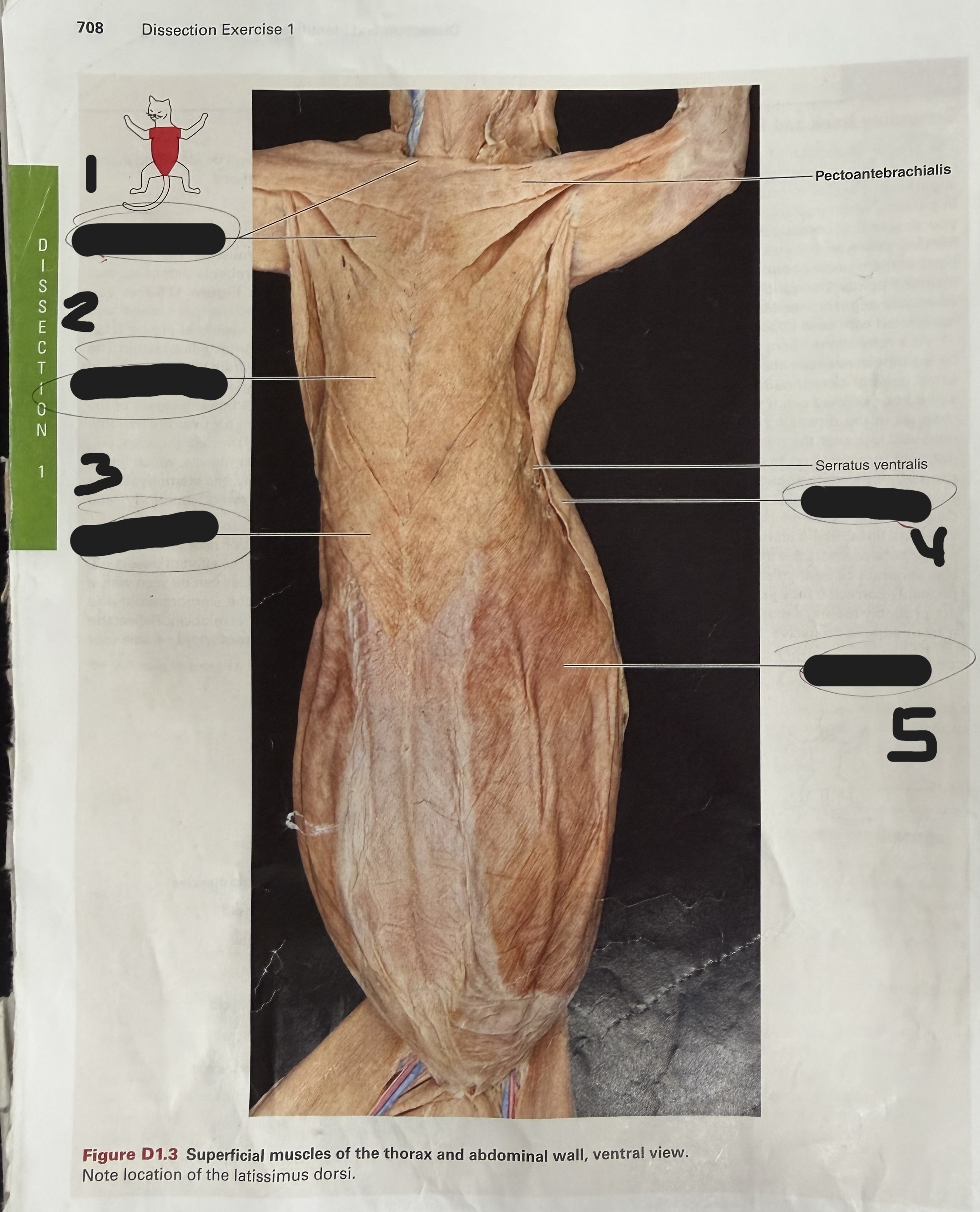 <p>2?</p>