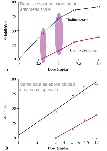<p>The dose-response relationship between different doses of the organophosphate insecticide chlorpyrifos and esterase enzyme inhibition. Testing the effect on chlorpyrifos on the inhibition of:</p><ul><li><p>Cholinesterase in the brain (blue) </p></li><li><p>Carboxylesterase in the liver (red)</p></li></ul><p><span>Degree of inhibition is dose-related, but the degree of inhibition per unit of concentration is different between enzymes. </span></p><p><span>At a dose of 3 mg/kg chlorpyrifos:</span></p><ul><li><p>brain cholinesterase will be inhibited by ~50% </p></li><li><p>there is no effect on liver carboxylesterase </p></li></ul><p>At a dose of 5 mg/kg chlorpyrifos: </p><ul><li><p>both enzymes inhibited, but to different extents </p></li><li><p>primary toxicological response related to cholinesterase inhibition in brain</p></li></ul><p></p>