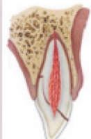 <p>What is this?</p>