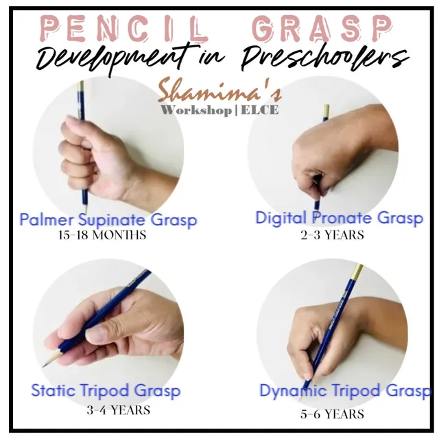 <p>13-18 mon: palmar-supinate grasp of pencil</p><p>24-36: digital pronate</p><p>4-5 yrs: static tripod grasp</p><p>5-6 yrs: dynamic tripod grasp</p>