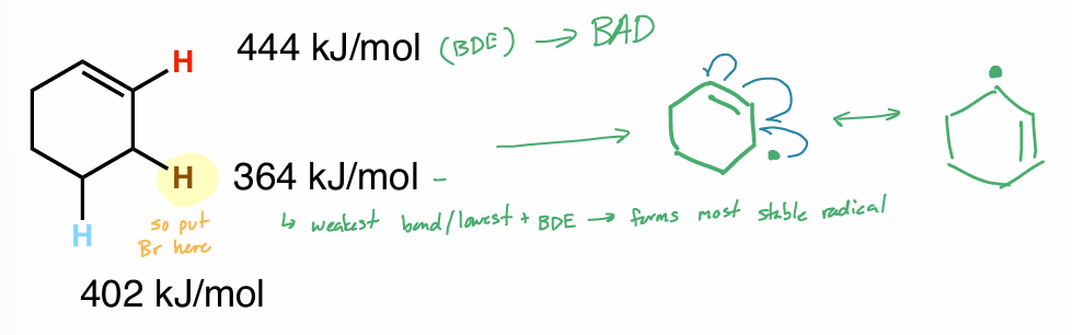 <p>best C—H bond to be abstracted</p><ul><li><p>↑ stable radical → ↓ bond + ↑ resonance stabilized </p><ul><li><p>don’t put e<sup>-</sup> on double bond (DB)</p></li></ul></li></ul><p></p>
