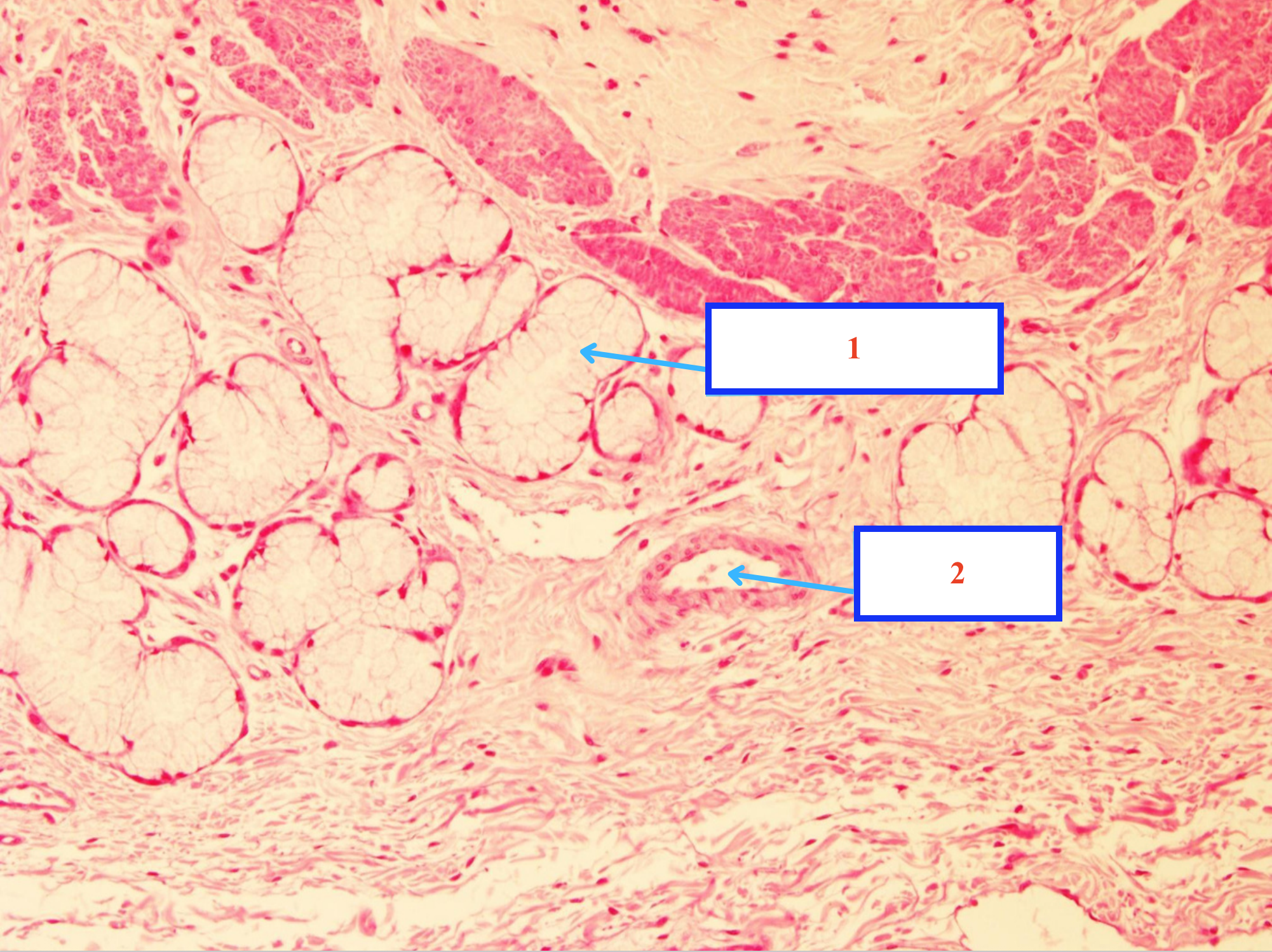 <p>Cấu trúc gì ?</p>