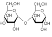 <p>Bestaat uit 2 glucoses en is het intermediar in de spijsvertering van zetmeel (via digestie met amylase)</p>