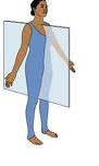 <p>Plane divides the body into equal right and left sides</p>