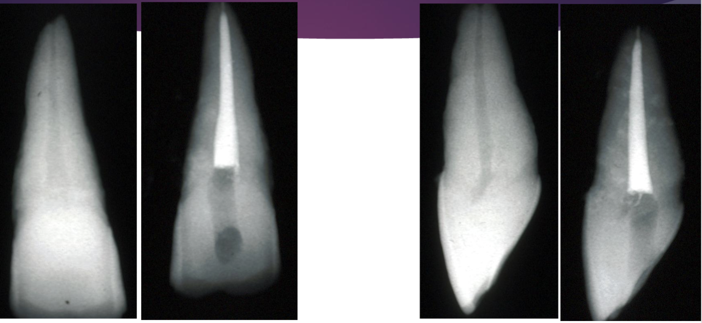 <p>what error happened here </p>