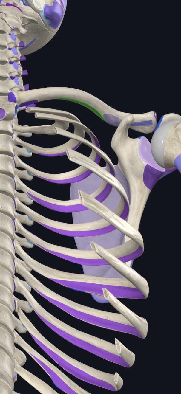 <p>what is this?</p>