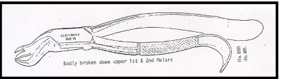 <p>Cow Horn Forceps</p>