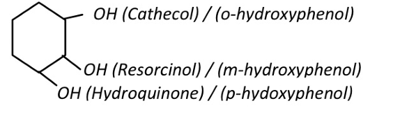 <p>a. Phenol / Carbolic acid</p><p>b. Cresol / Methylphenol</p><p>c. Thymol / Isopropyl m-cresol</p><p>d. Eugenol</p><p>e. Resorcinol</p>