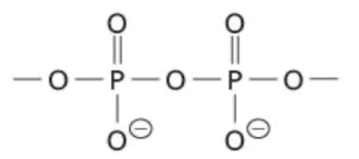 <p>A functional group consisting of two P-O bonds adjacent to one another (POP), where each phosphorus is a phosphate group</p>