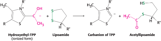 <p>extracts the acetyl group from TPP</p>